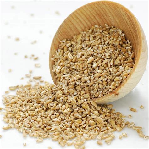 BULGAR .